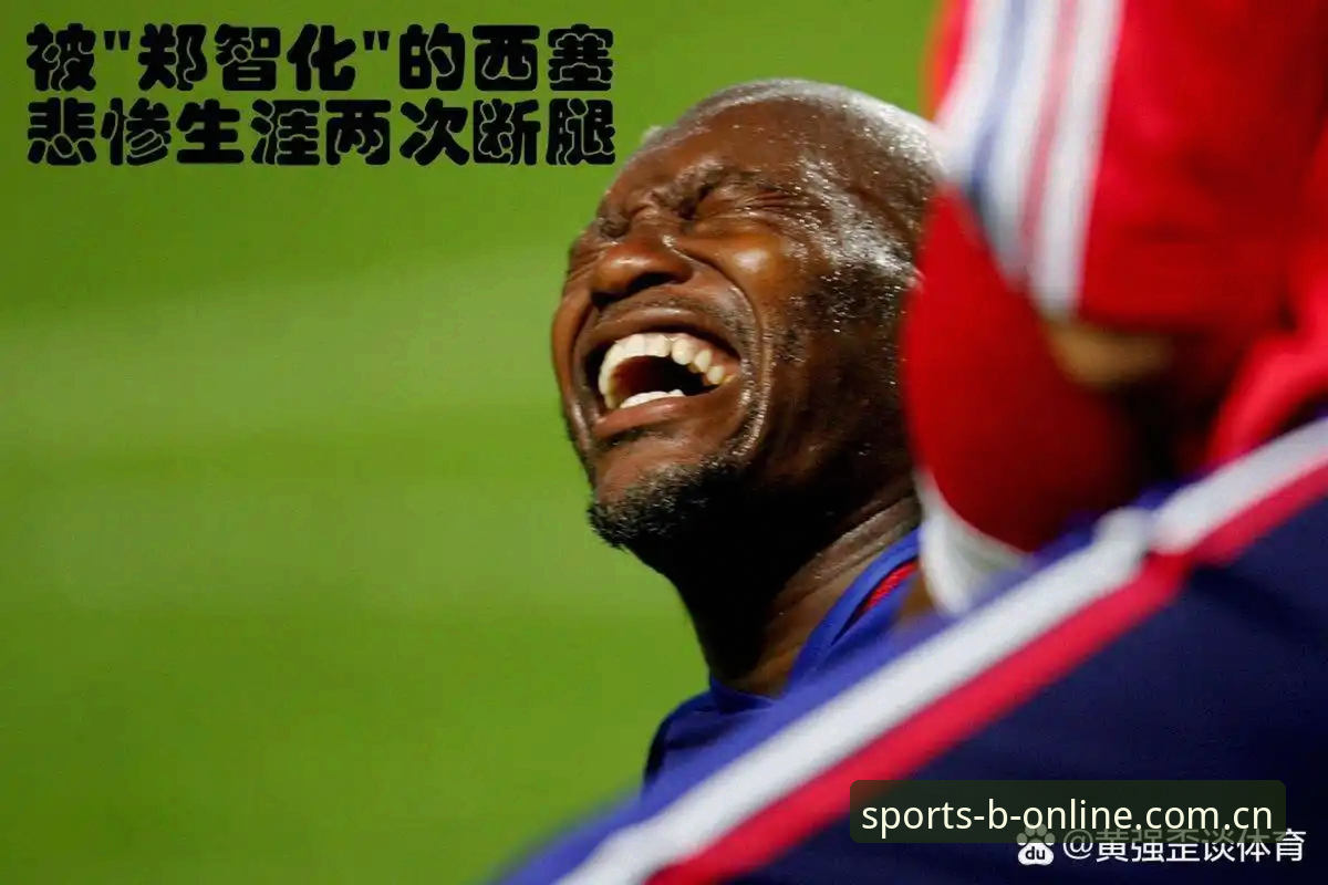 B体育官方网站 vs 第三方入口：哪个更值得信赖？——基于行业数据的全面对比